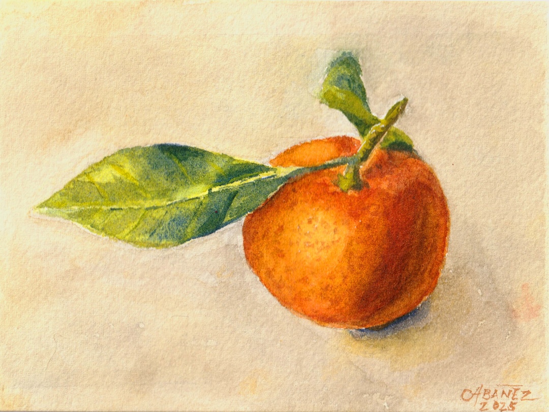 Mandarin, 15cm x 10cm, Watercolor on Paper, 2025